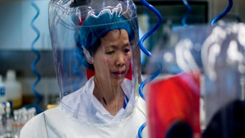 “المرأة الخفاش” تقدم اثباتات جديدة عن مصدر كورونا