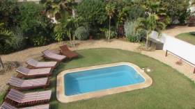 جزائريون يلجؤون إلى مسابح الفيلات لتعويض الحرمان من شواطئ البحر