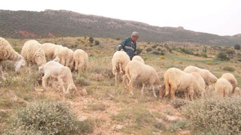 قاطنو عرش “أولاد الربيع” بالمسيلة يحتجون أمام مبنى وزارة الداخلية