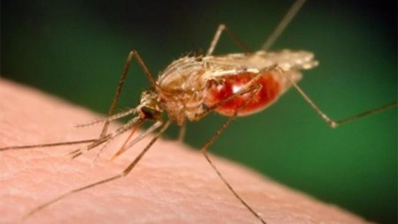 إصابة عضو في “الدعوة والتبليغ” بالملاريا بعد عودته من ساحل العاج