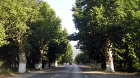 الجزائر تشهد مناخا رطبا لأول مرة منذ الأربعينيات