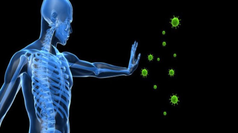 هذه الأطعمة تدمر جهازك المناعي؟