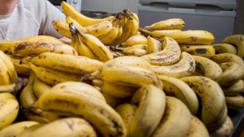 إتلاف 18 حاوية محملة بالموز الفاسد بميناء سكيكدة