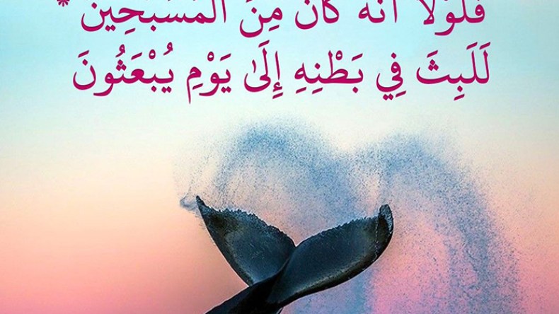 وكذلك ننجي المؤمنين