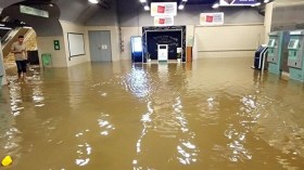 كارثة.. فضيحة وجريمة!