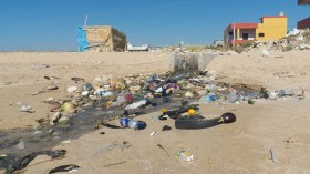 جمع 1.5 طن من النفايات من الساحل العاصمي