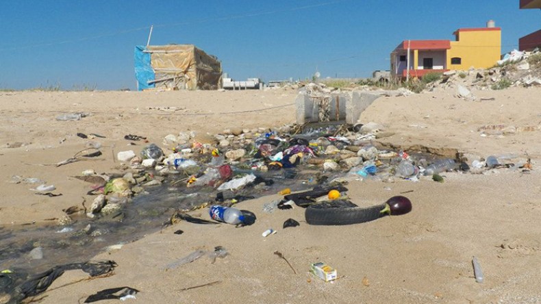 جمع 1.5 طن من النفايات من الساحل العاصمي