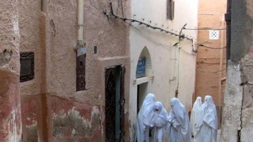 هل يمكن الاستفادة من النموذج المزابي؟