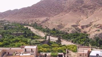 تحفة الهامل