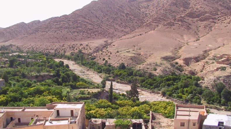 تحفة الهامل