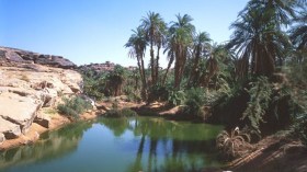 إحصاء كافة البحيرات عبر الوطن بهدف تصنيفها