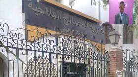 ”الغرفة الفلاحية بالوادي تلعب دورا فعالا في الوساطة بين الفلاحين والمصدرين”