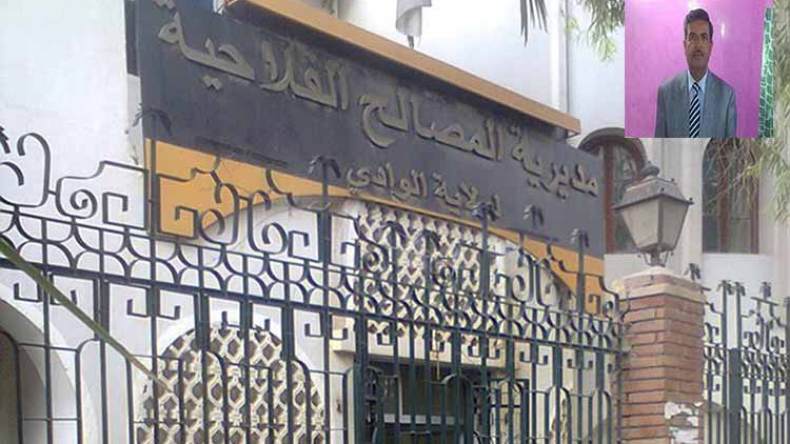 ”الغرفة الفلاحية بالوادي تلعب دورا فعالا في الوساطة بين الفلاحين والمصدرين”