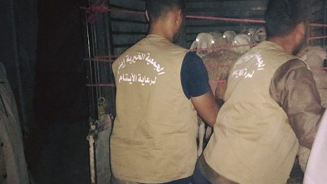 انطلاق جمع وتوزيع الأضاحي على اليتامى بالوادي