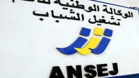 دعم وتنمية المقاولاتية: تعويض 250 مؤسسة متعثرة