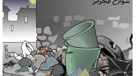 شوارع الجزائر