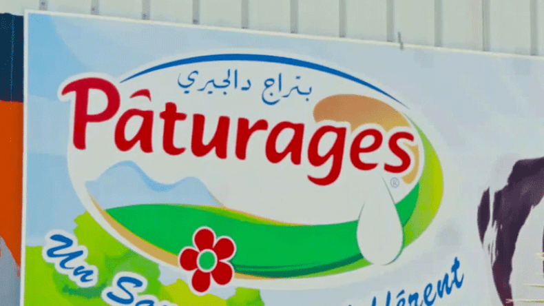 “تمكنا من تصنيع المادة الأولية.. وقادرون على المنافسة محليا وخارجيا”