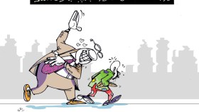 باعوضة النمر