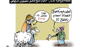 تسمين الكباش