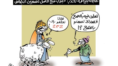 تسمين الكباش