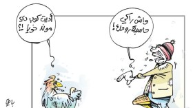 أسعار الدجاج