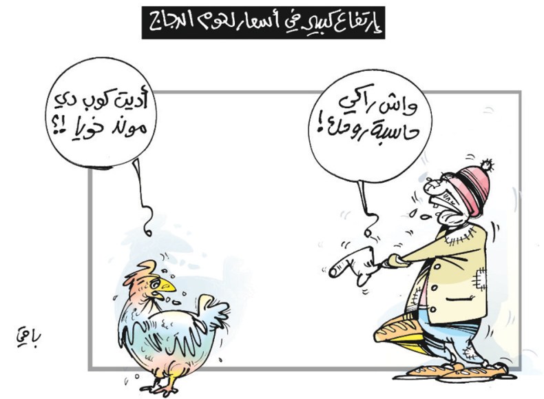 أسعار الدجاج