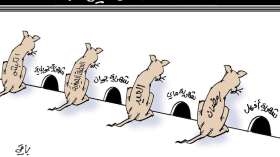 حال المواطن