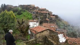 قرية جبلة مثال يحتذى به في الاحتكام إلى دستور “تجماعت”