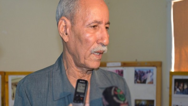 غالي: الأمم المتحدة غائبة عن حماية حقوق الإنسان في الصحراء الغربية