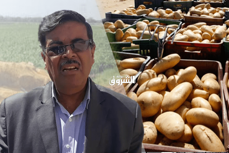 Algeria Is Experiencing A Frenzied Campaign To Destroy Its Economy, A Local Official Says