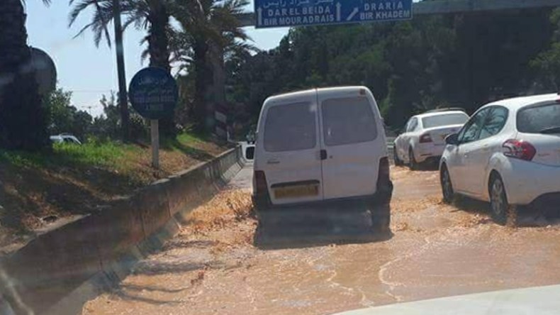 نحن، إيطاليا.. والمافيا!