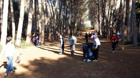 غابة بوشاوي… متنفس هوائي ومكان للاسترجاع والترفيه