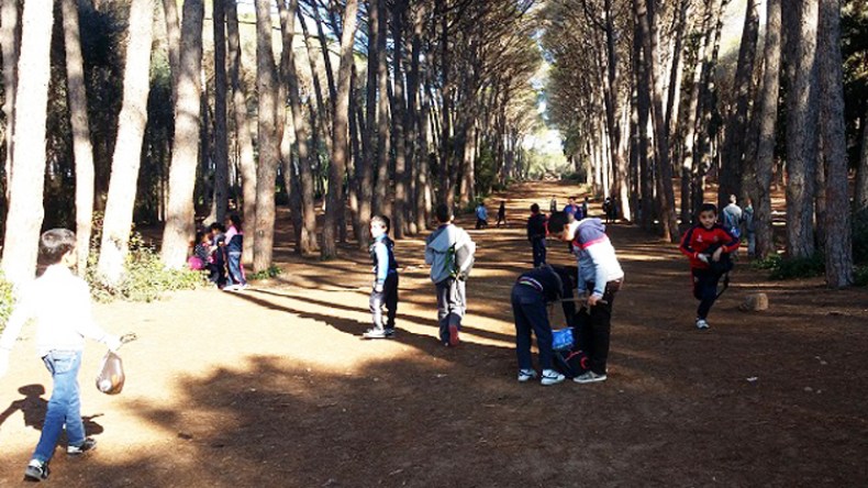 غابة بوشاوي… متنفس هوائي ومكان للاسترجاع والترفيه