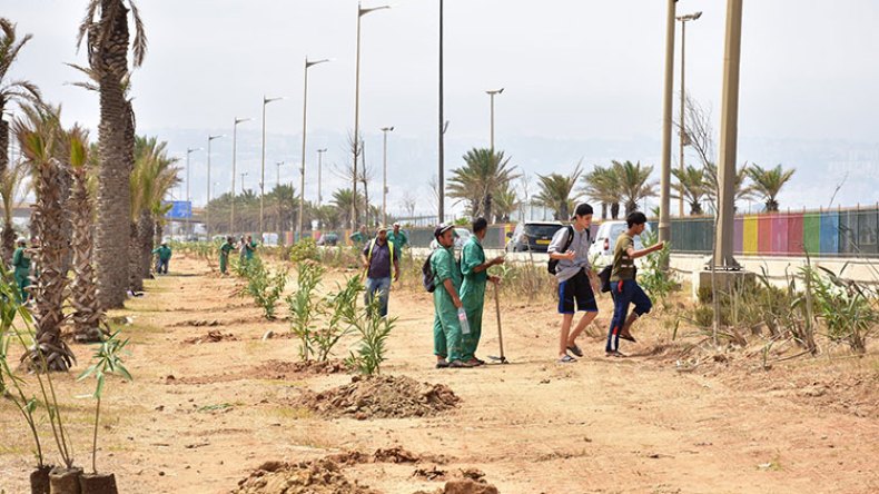 حملة تنظيف واسعة على طول الطريق السريع الشرقي لولاية الجزائر