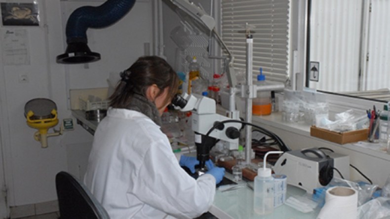 غياب المحاليل يدخل مخابر مستشفى الدويرة في بطالة