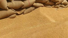 انخفاض واردات الحبوب هذه السنة
