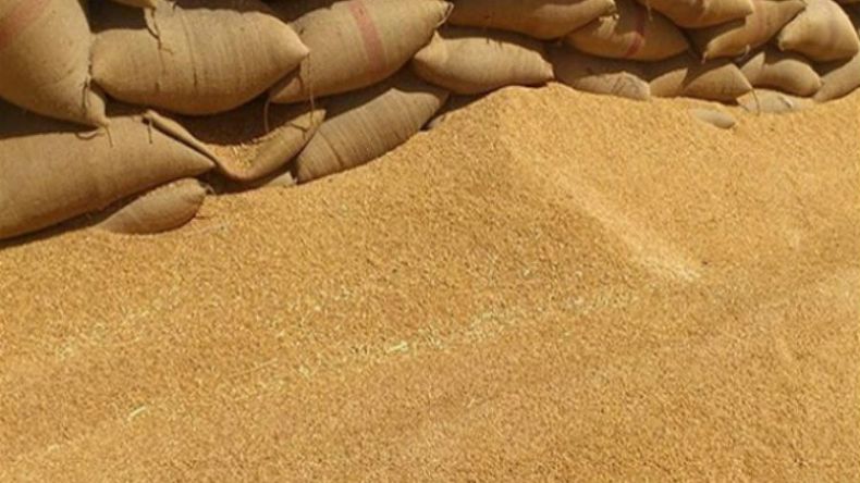 انخفاض واردات الحبوب هذه السنة