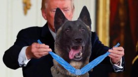 ترامب ينشر صورة “مركبة” تظهره يُكرّم كلباً