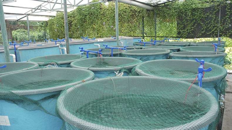 145 مشروع يحصل على عقود الامتياز بتيبازة