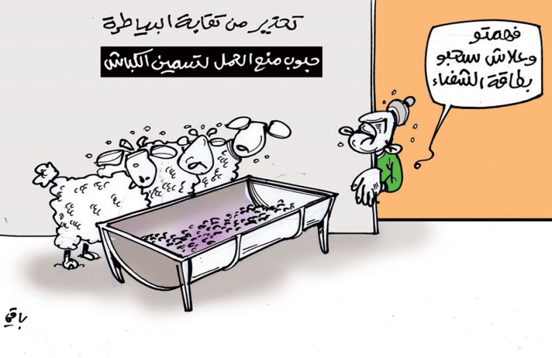 تسمّين الكباش