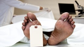 جرائم نائمة أحياها الضمير وكشفها الطب الشرعي!