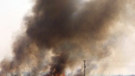 فرار جماعي لأقارب بعض مقاتلي “داعش”