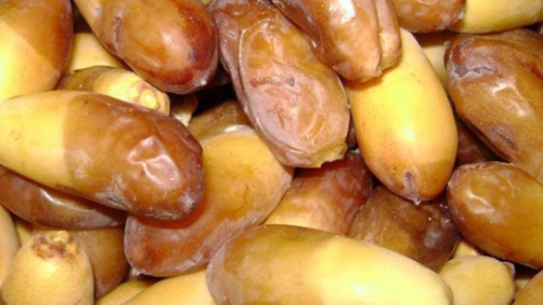 المهاجرون يقبلون على تمر “المنقر” قبل أيام من جني دقلة نور