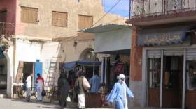 تسجيل 100 حالة إصابة بداء الملاريا بتمنراست منذ بداية السنة