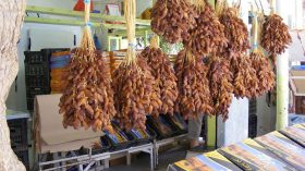 200 نوع من التمور الجزائرية.. لا يعرف المواطن منها سوى دقلة نور