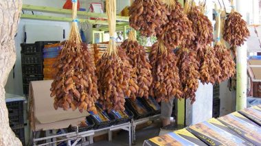 200 نوع من التمور الجزائرية.. لا يعرف المواطن منها سوى دقلة نور