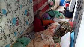 عائلة قرين مشرّدة وأطفالها يواجهون خطر الإختطاف والمساومة بتيبازة