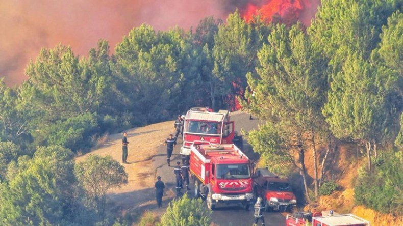 رجال يصارعون الموت لإنقاذ الحياة بتيزي وزو