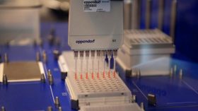 علماء يختبرون 69 دواءً لاستخدامها في علاج كورونا