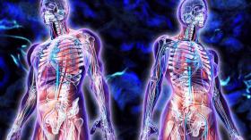 اكتشاف عضو جديد في جسم الإنسان.. تعرفي على وظيفته!